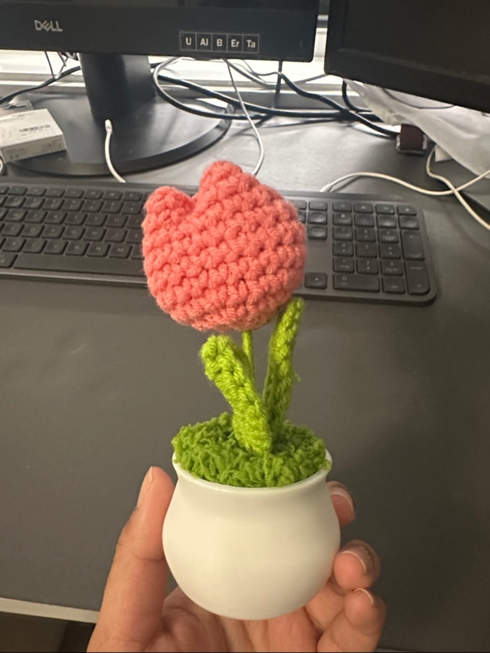 Handmade Crocheted Pink Tulip in White Pot